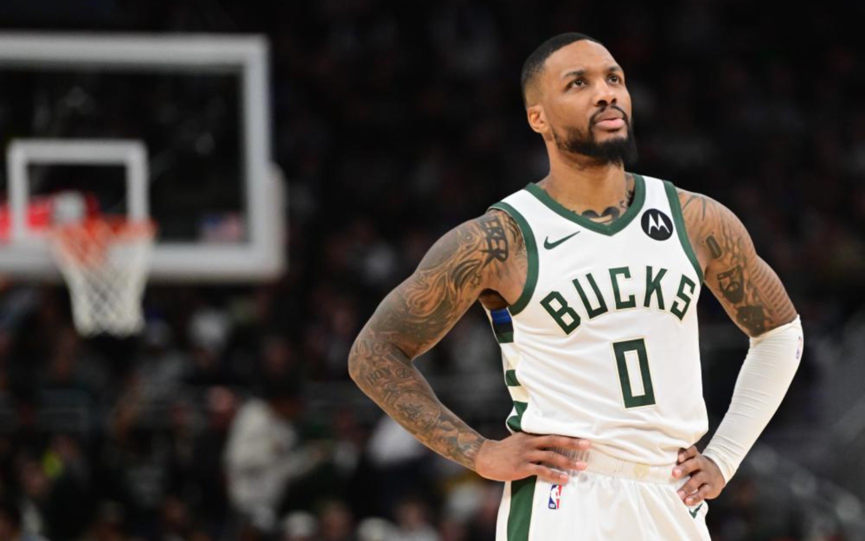 合理安插姆 合理安插姆